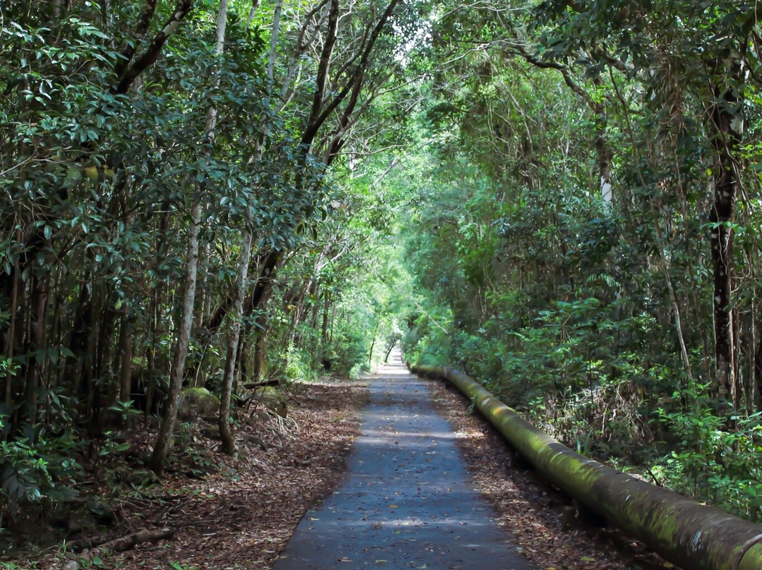 Behana Gorge Waterfall-凯恩斯必去景点