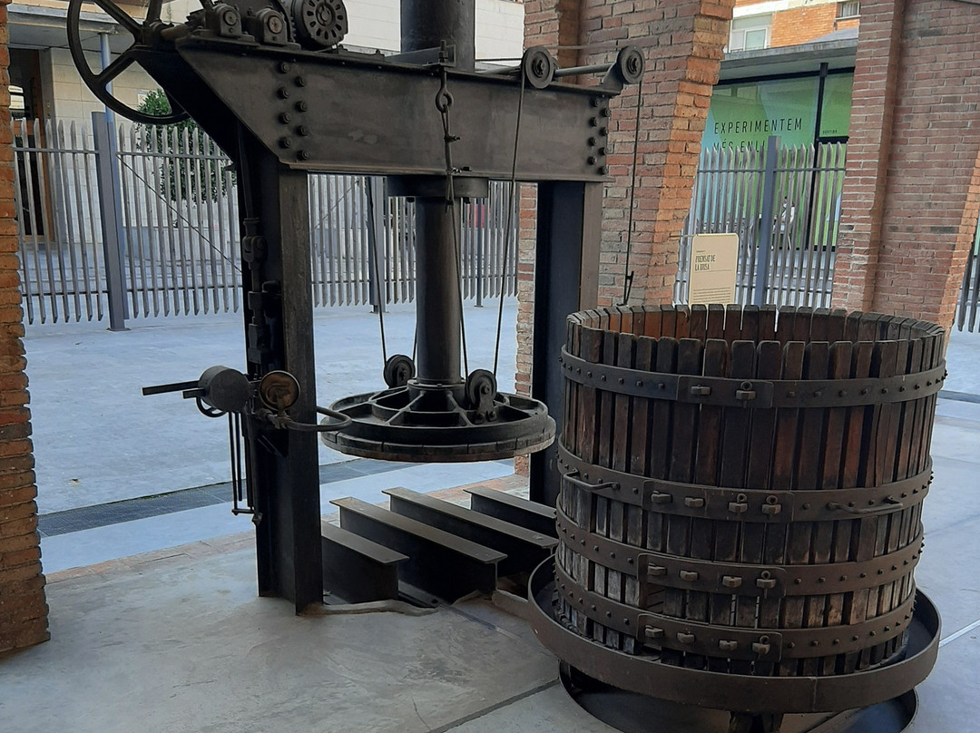 Museu de Sant Cugat - Celler Modernista-圣库加特德尔巴雷斯必去景点