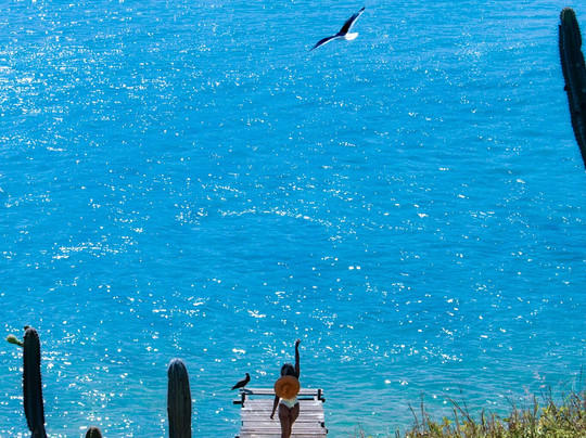 SouMaisArraial-阿拉伊阿尔港必去景点