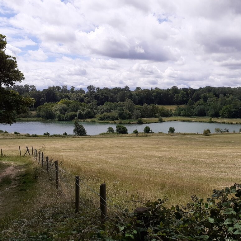 Panshanger Park,-Hertford必去景点