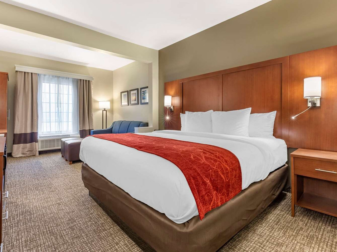 Comfort Suites Near Camp Lejeune主图