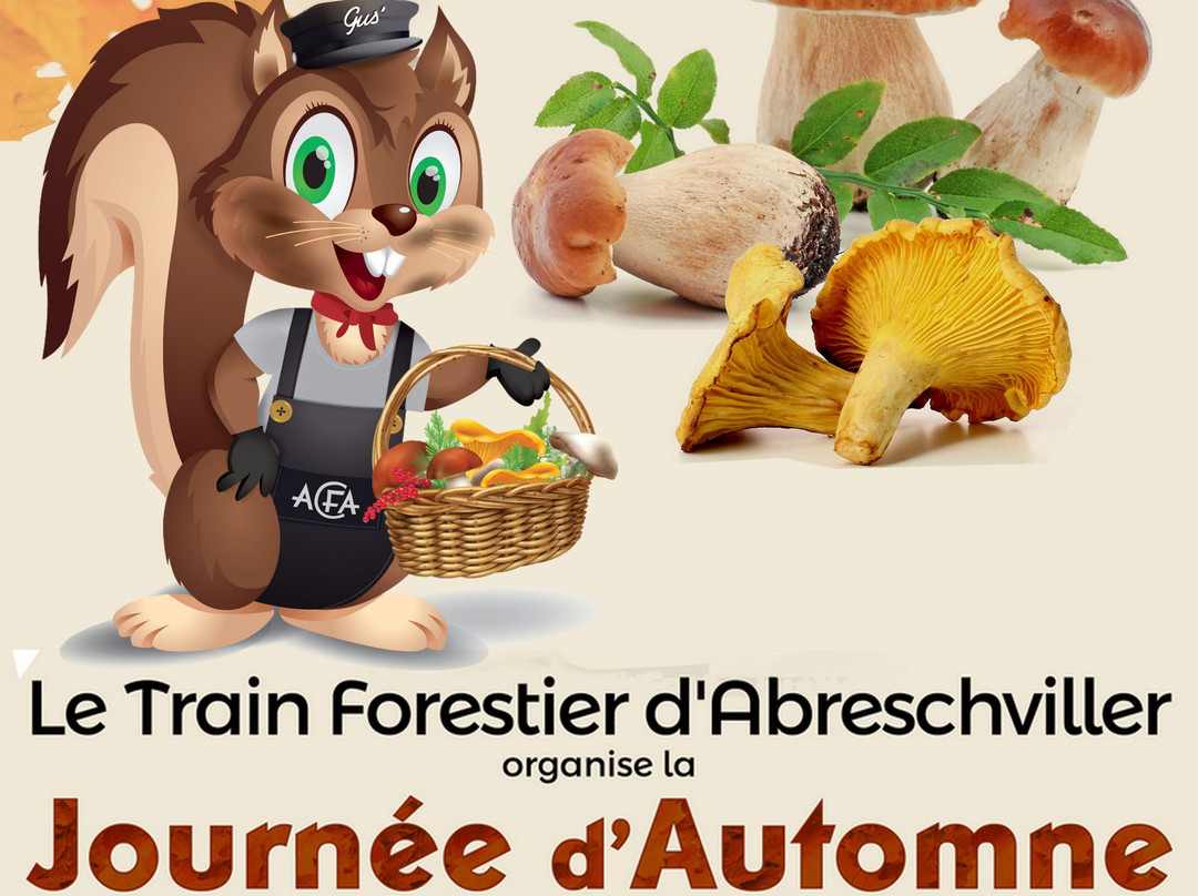 Train Forestier d'Abreschviller景点图片