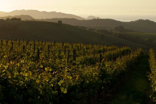 Bodega K5 Txakolina-Aia必去景点