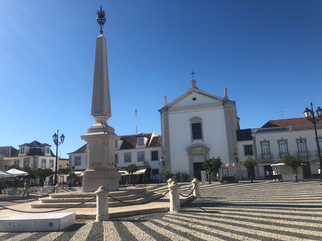 Praca Marques de Pombal景点图片