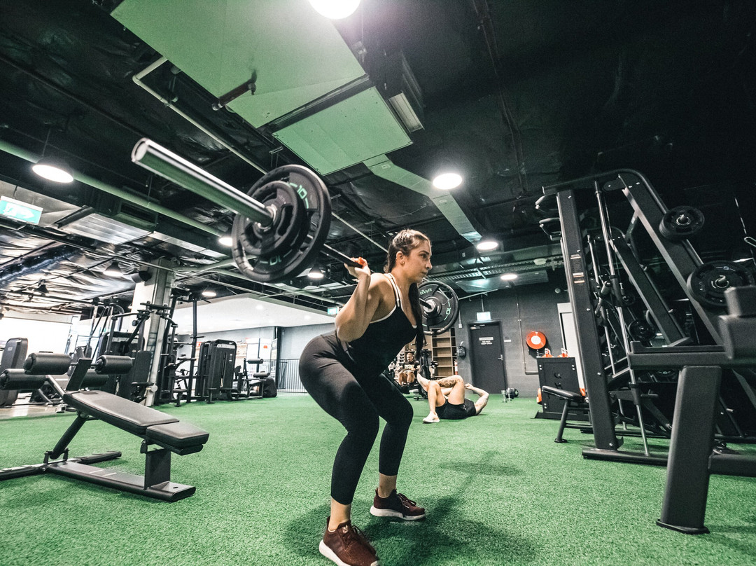 Tramsheds-悉尼必去景点