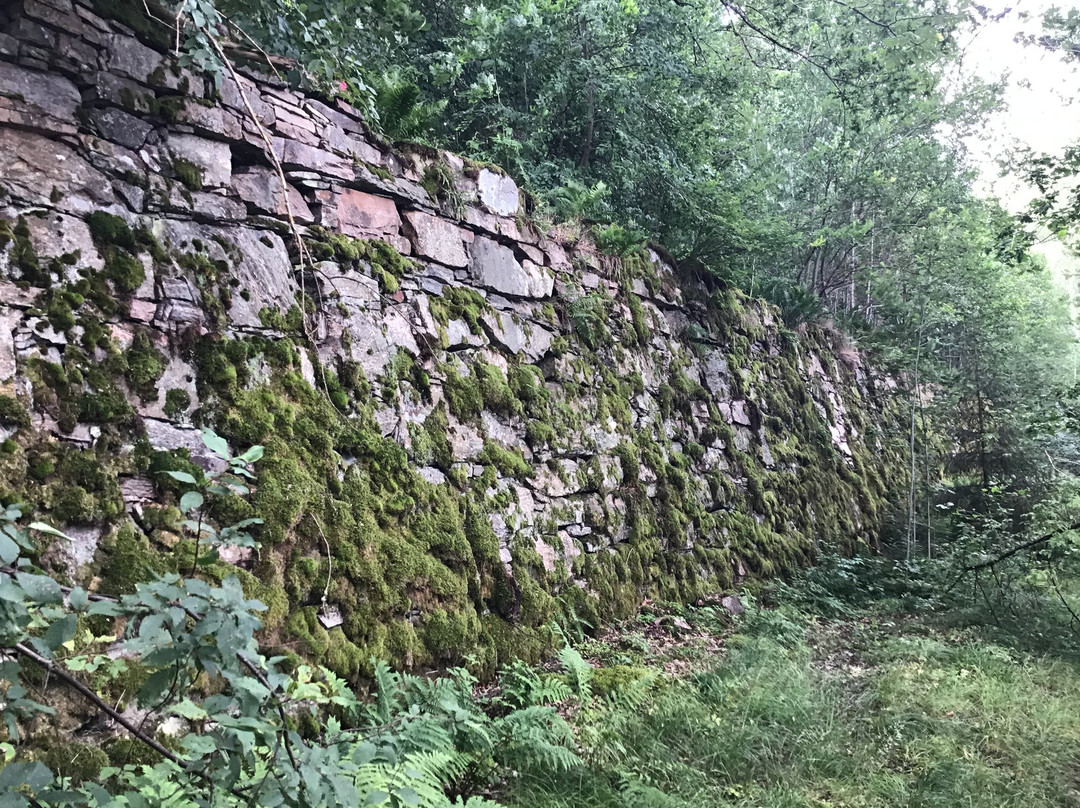 Tollered旅游攻略图片
