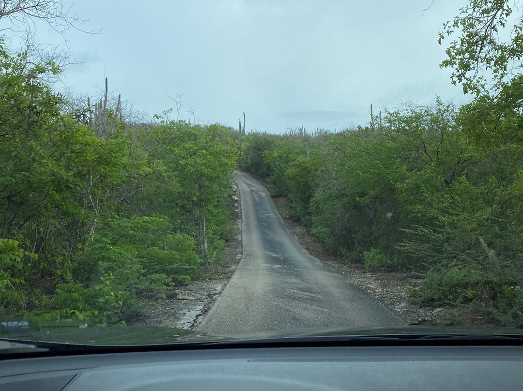 Christoffelpark-Sabana Westpunt必去景点