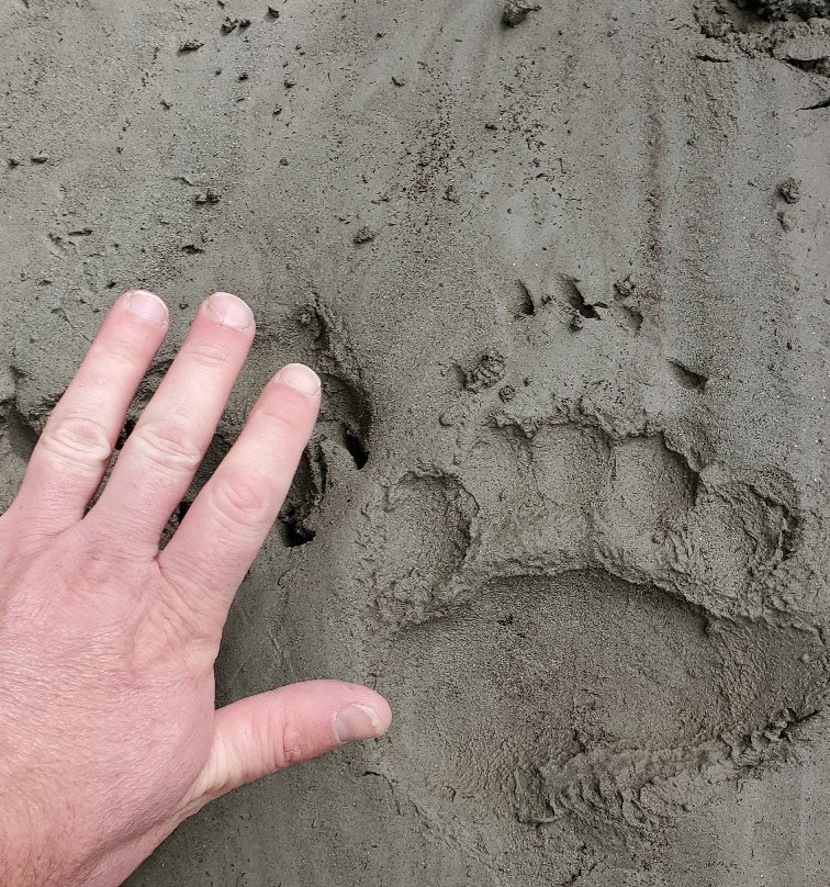 Bella Coola Eagle Lodge主图