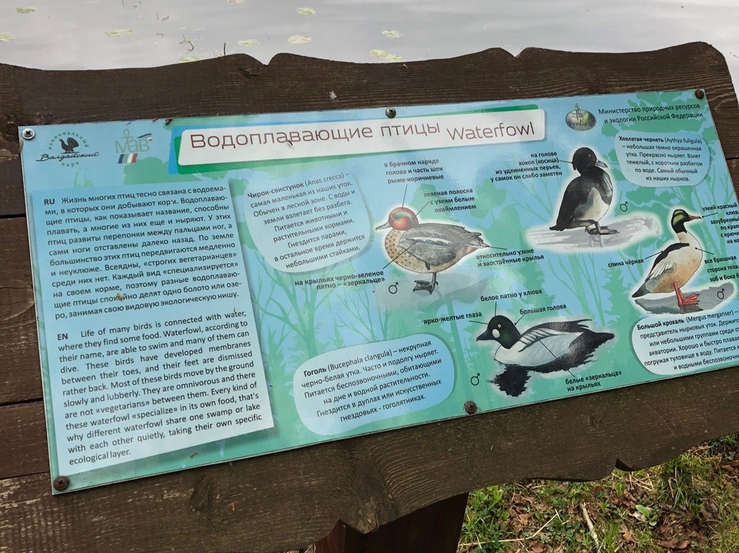 National Park Valdaiskiy主图