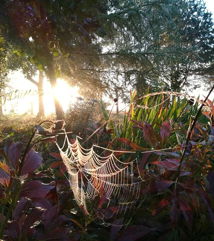 Gamtos Girnos-Sakiai必去景点