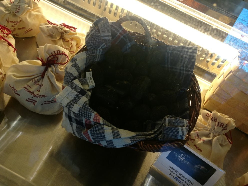Museo del Tartufo Urbani景点图片