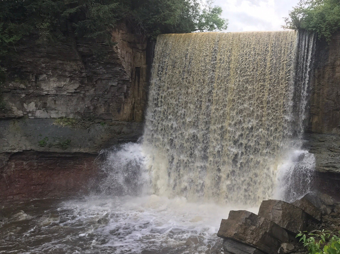 Indian Falls Conservation Area景点图片