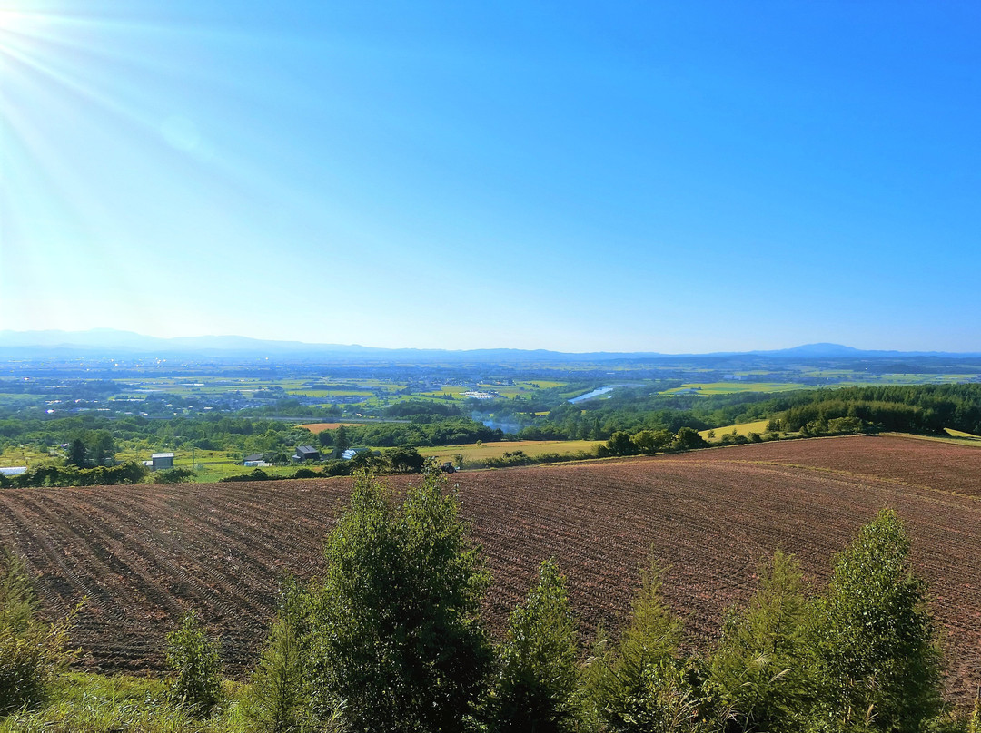 Totoro Pass Carpark-深川市必去景点