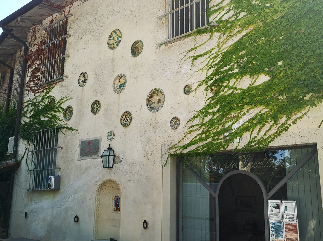 Cantina Fattoria Uccelliera景点图片