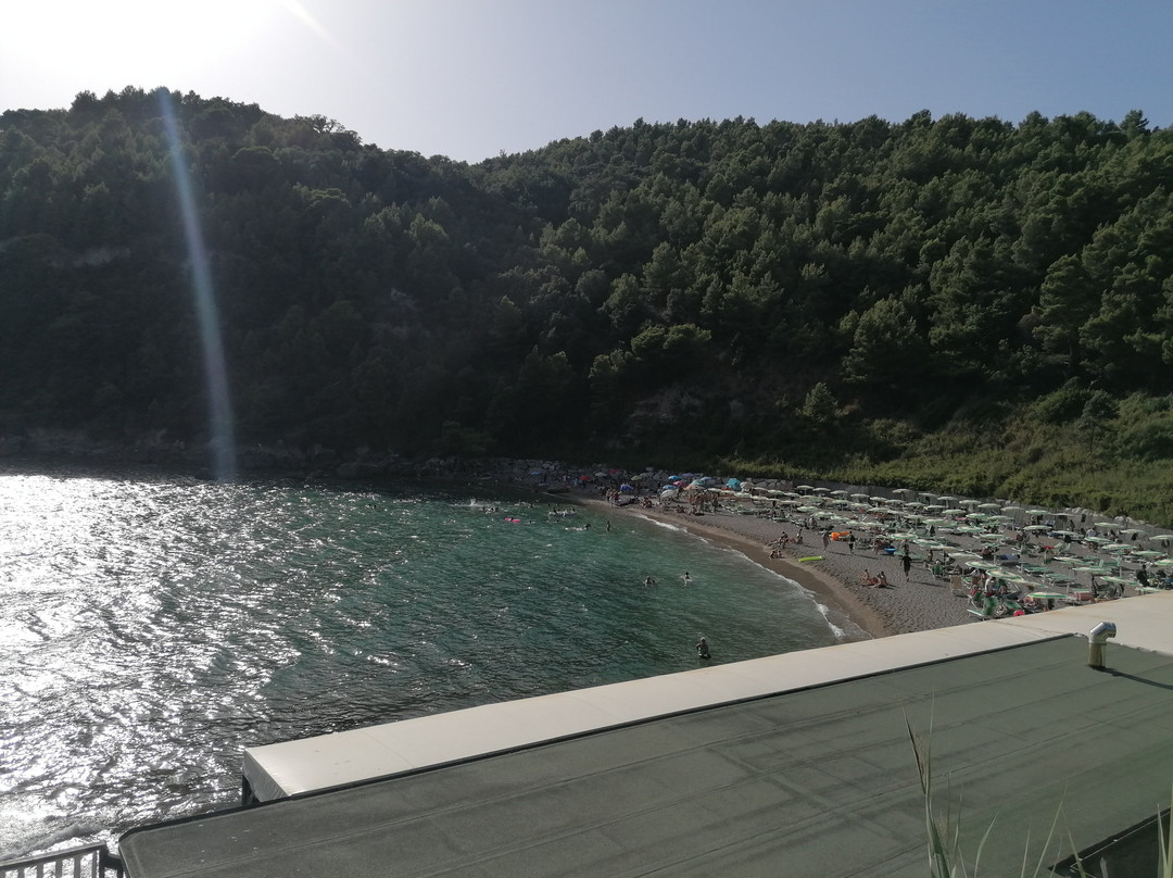Spiaggia dei Sassolini景点图片