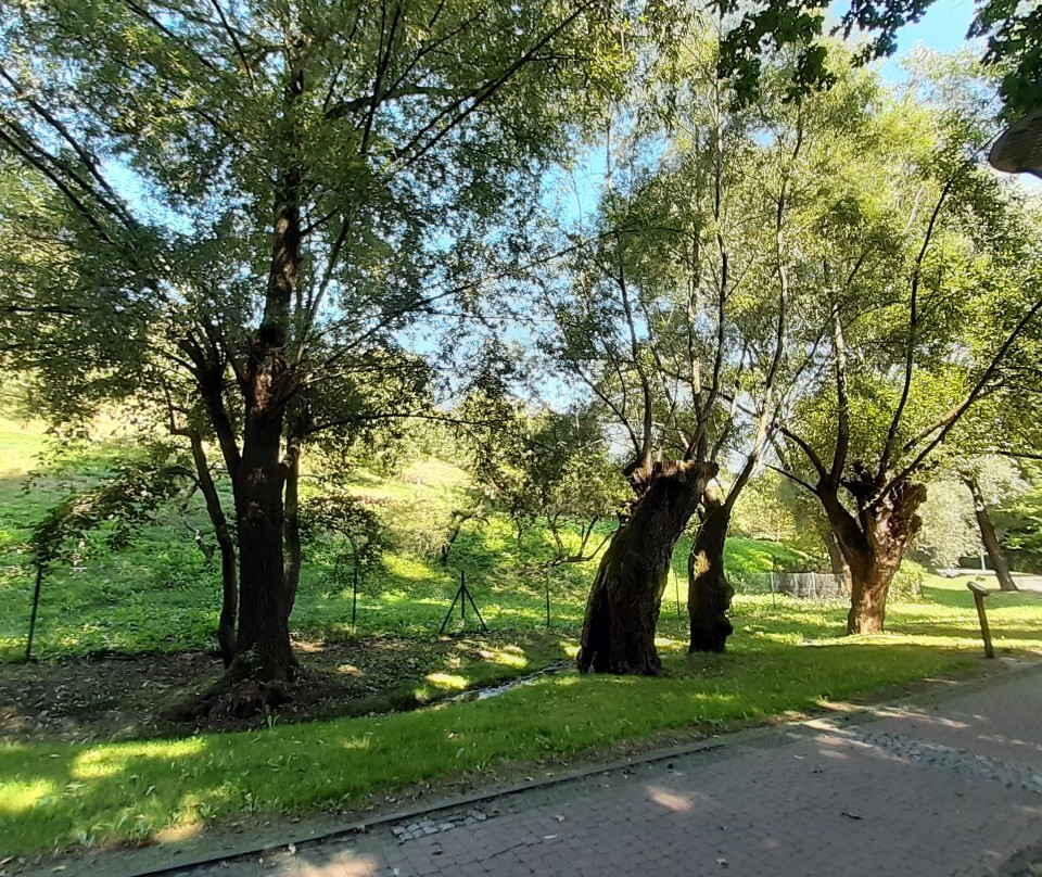 Piszczele Park in Sandomierz景点图片