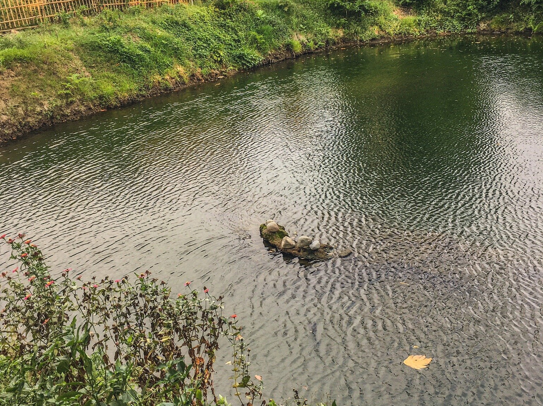 Candi Petirtaan Sumberbeji-Jombang必去景点