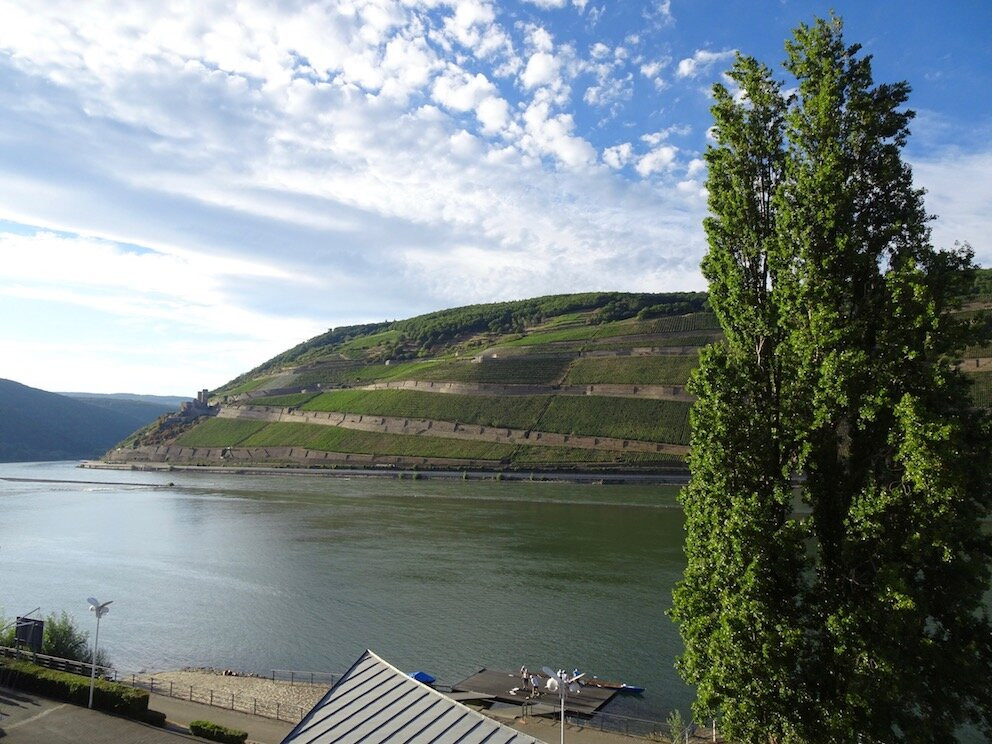 NH宾根酒店主图