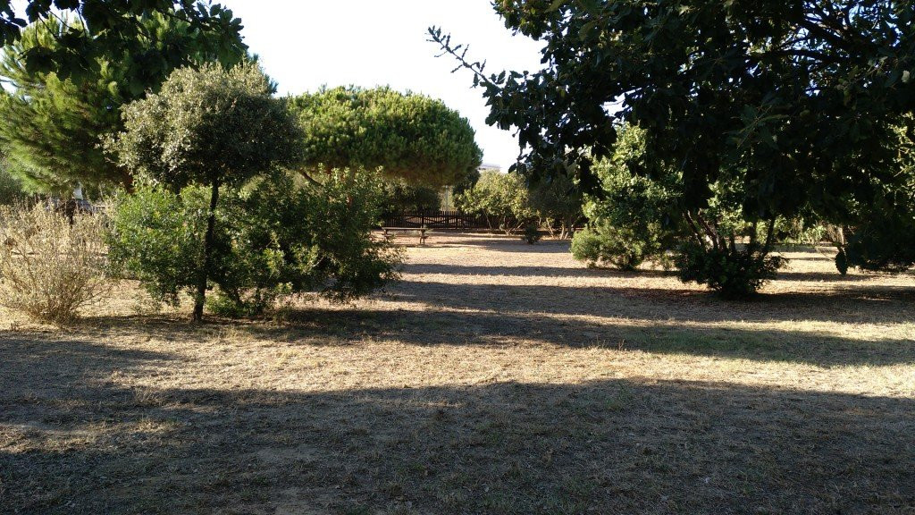 Parque Laguna del Moral-罗塔必去景点
