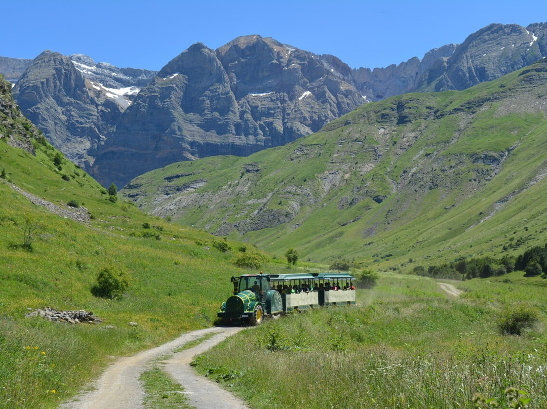 Tren de Alta Montana El Sarrio景点图片