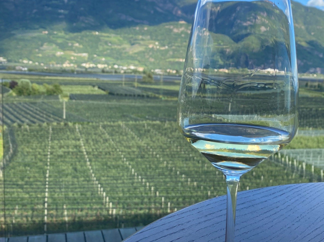 Cantina Merano Burggräfler景点图片