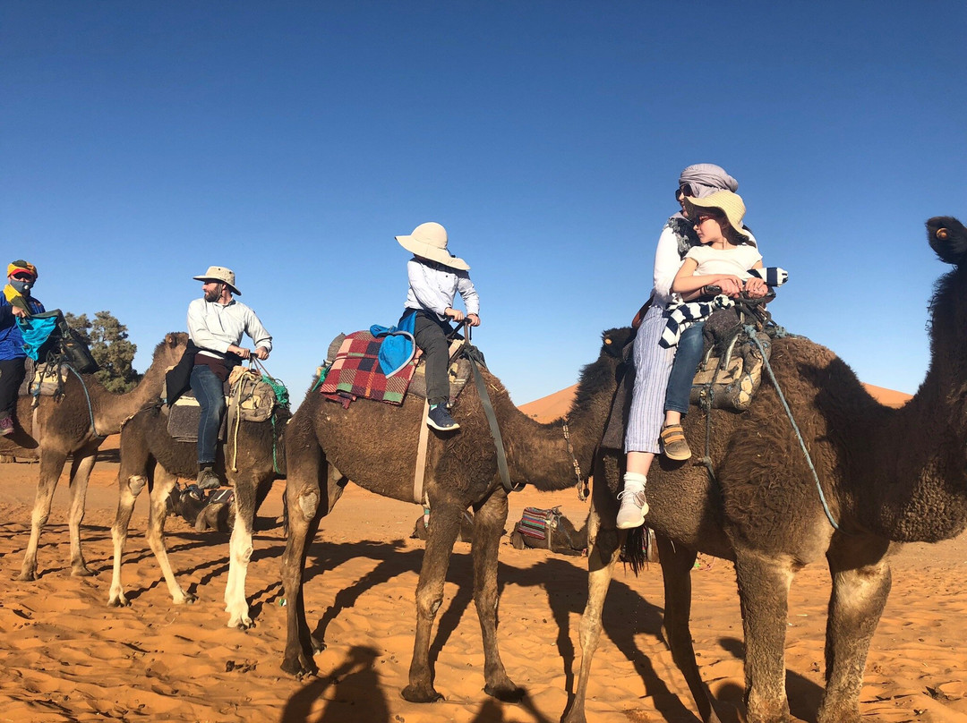 Fes Morocco Trips-非斯必去景点