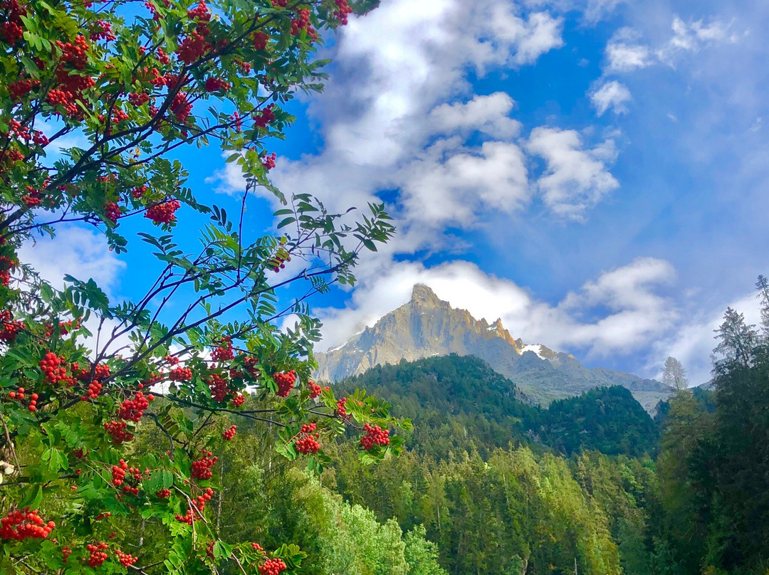 Tunnel du Mont-Blanc-霞慕尼必去景点