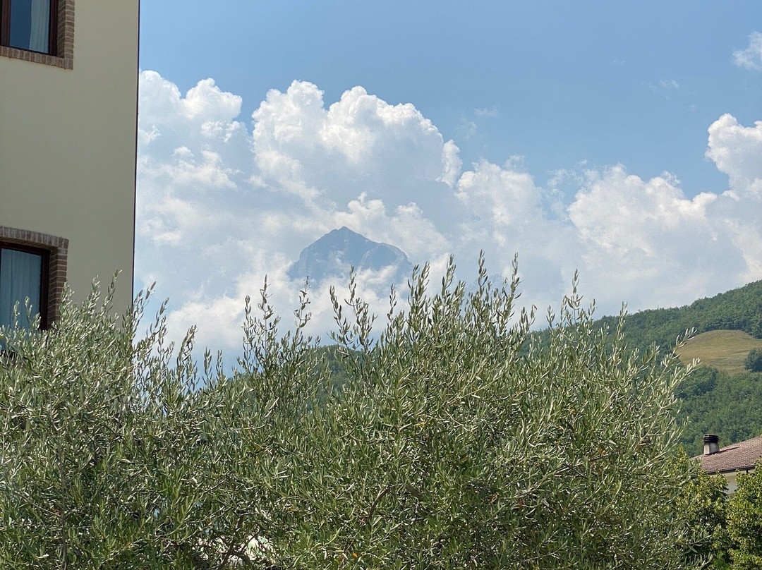 Locanda del Parco Hotel主图