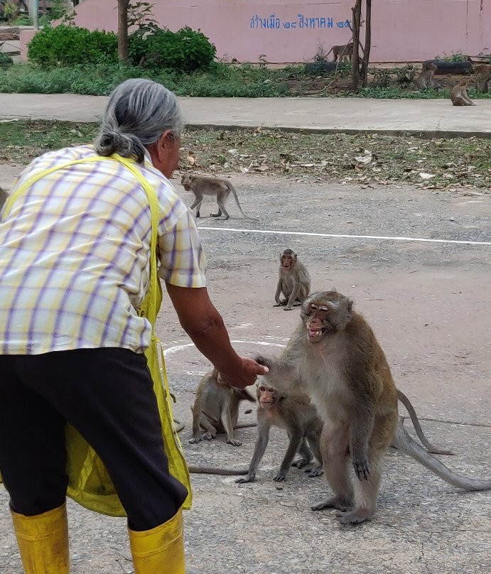 Wat Krieng Krai Klang景点图片