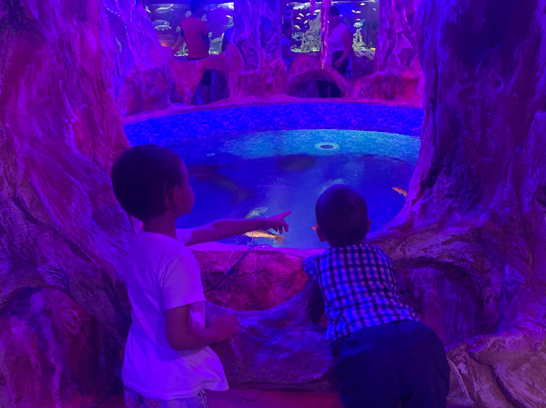Aquarium in Yevpatoriya-Yevpatoriya必去景点