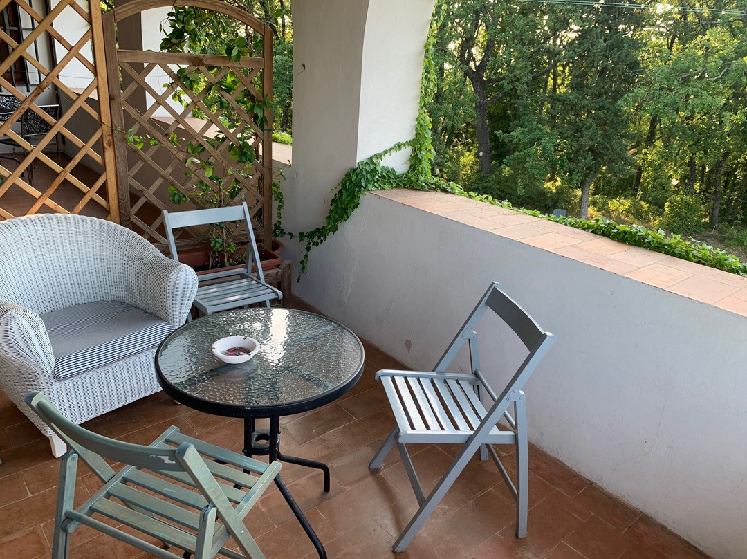 Villa Albertina主图