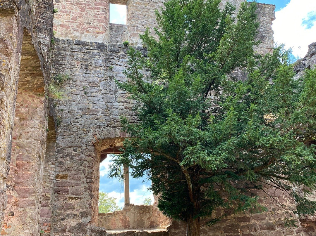 Burg Zavelstein景点图片