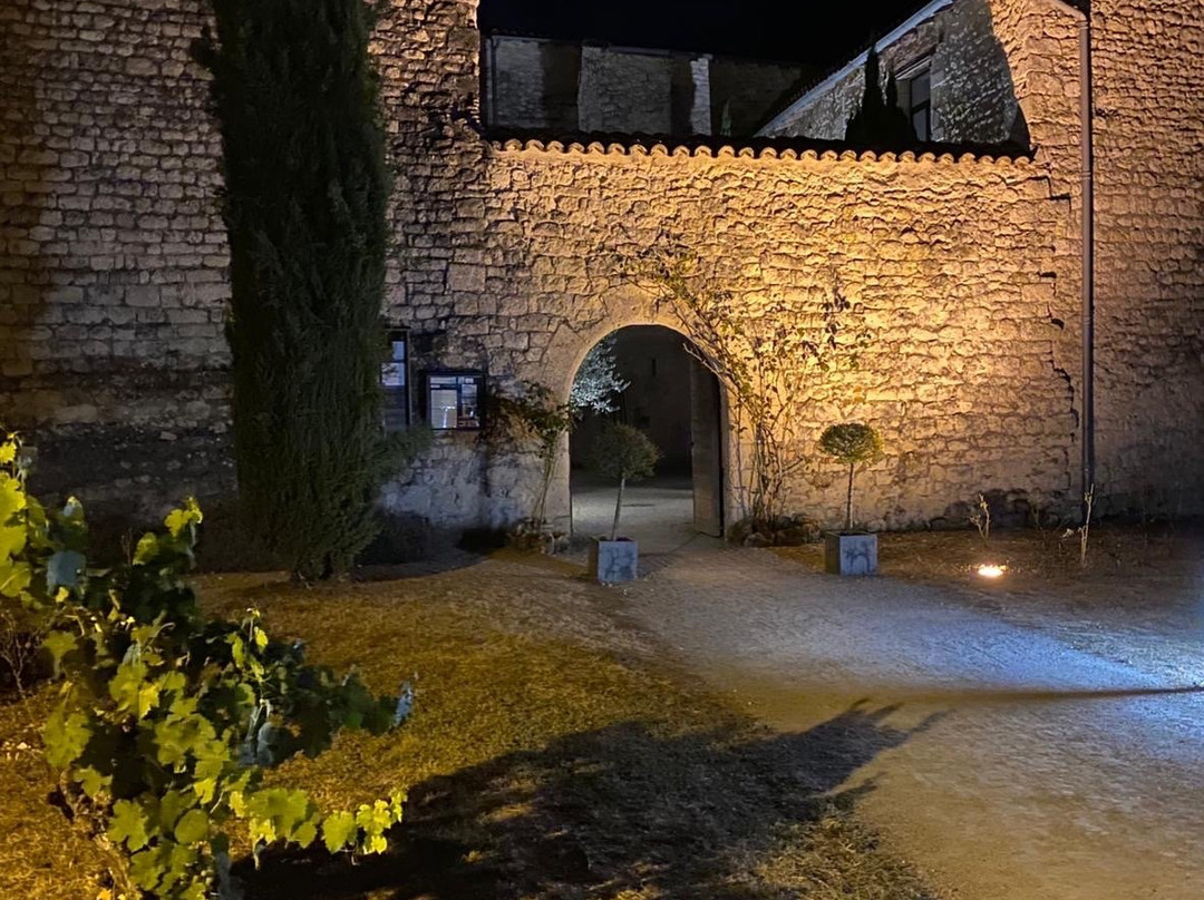 Château de Salettes主图
