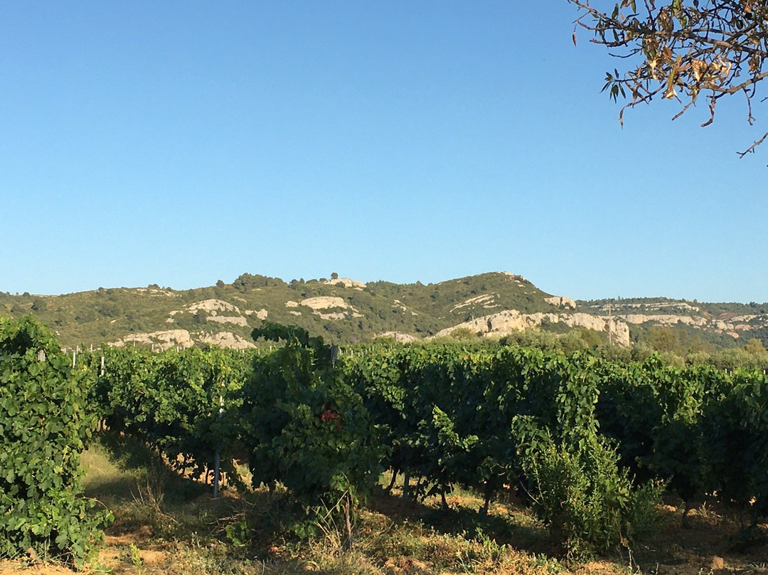 Chateau La Sabine主图