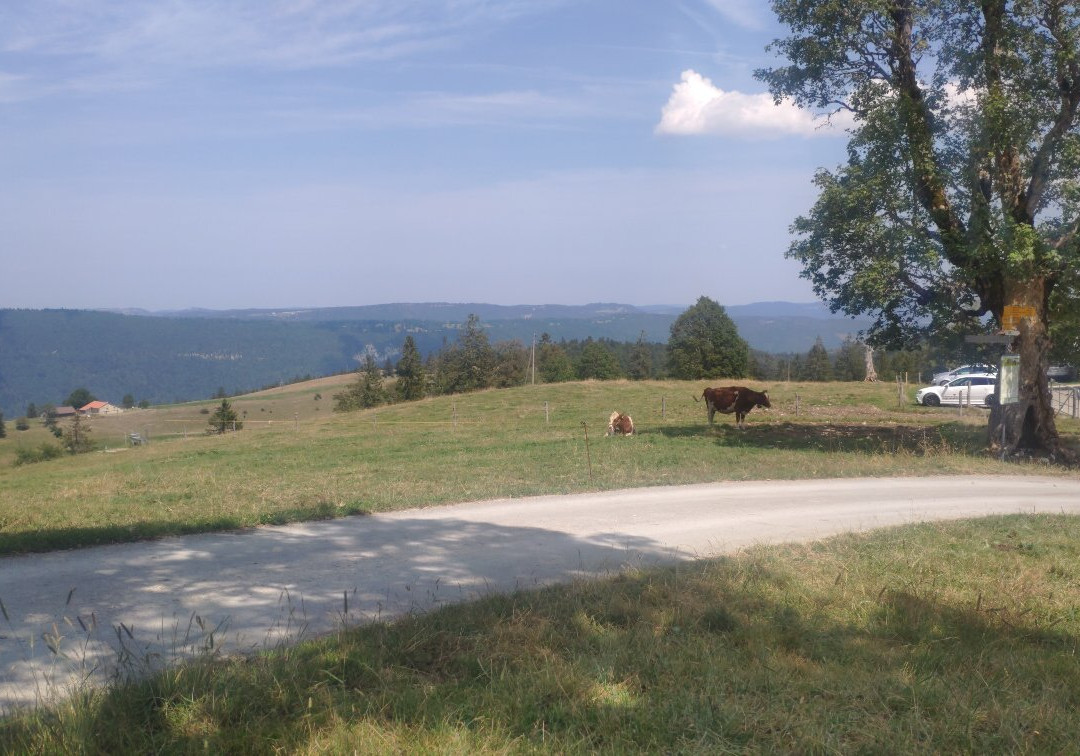 Parc Régional Chasseral-Saint-Imier必去景点