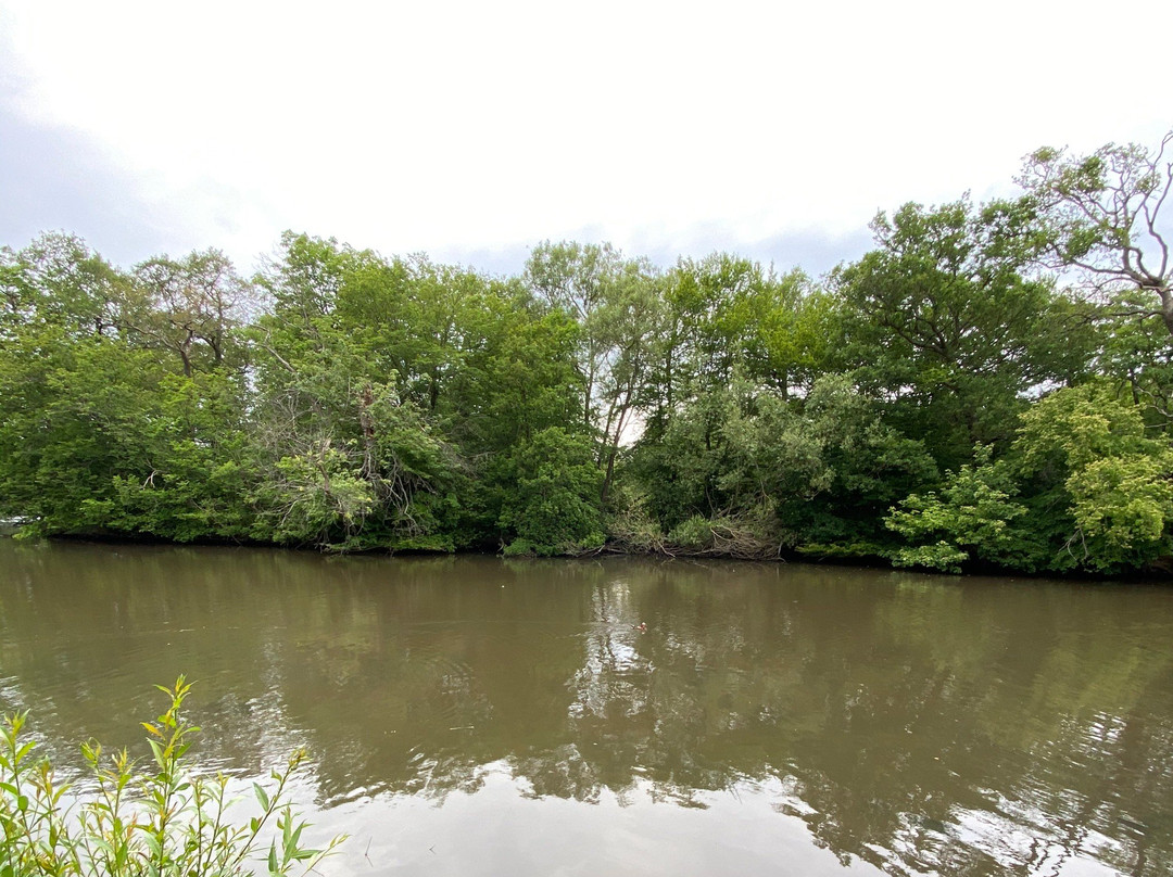 Epping Forest景点图片