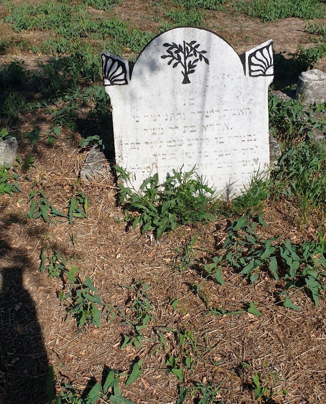 Sulina Mixed Cemetery景点图片