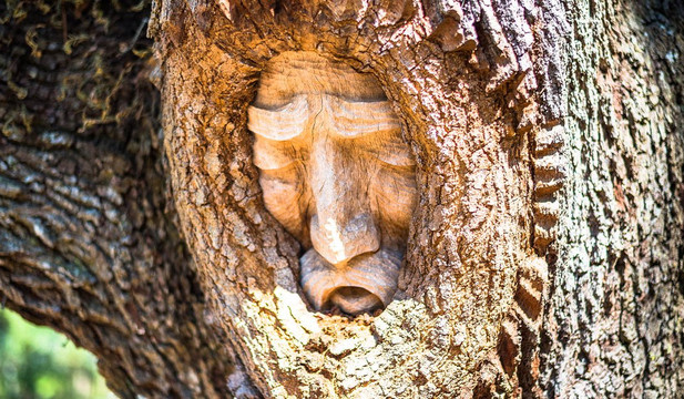 Tree Spirits of St. Simons Island-圣西蒙斯岛必去景点