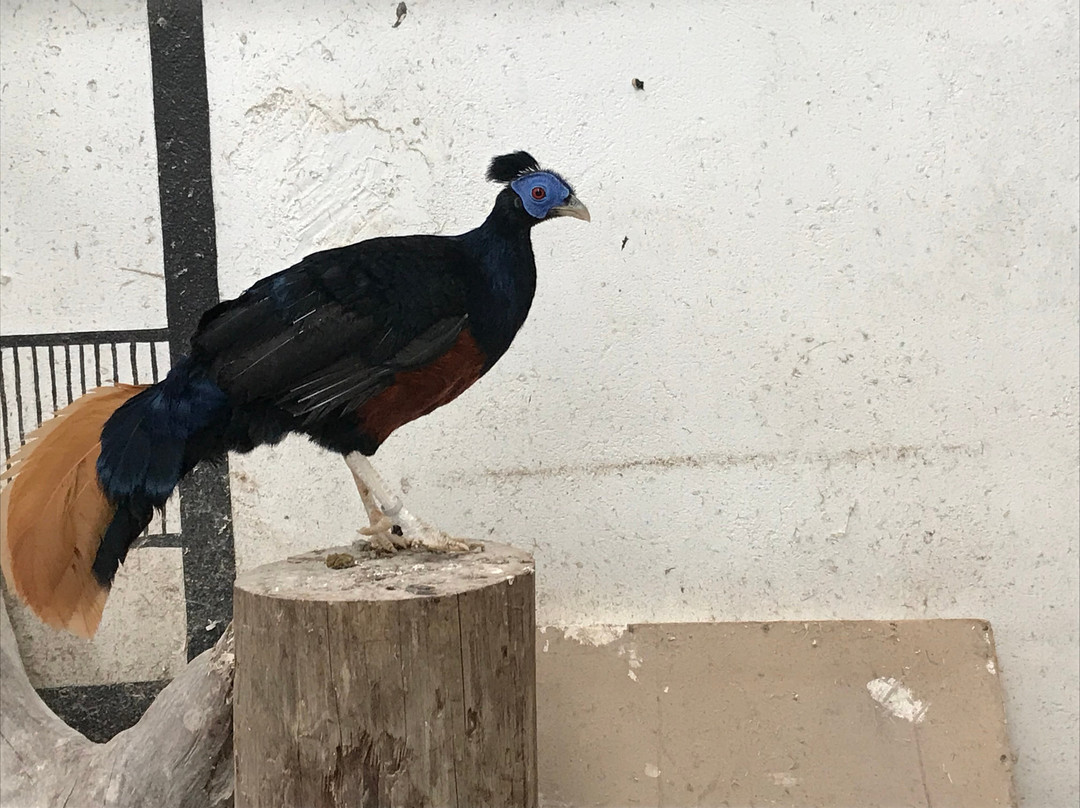 Carrowhony Pet Farm Fermanagh景点图片