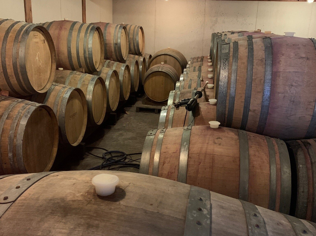 Cambridge Road Vineyard & Cellar Door景点图片