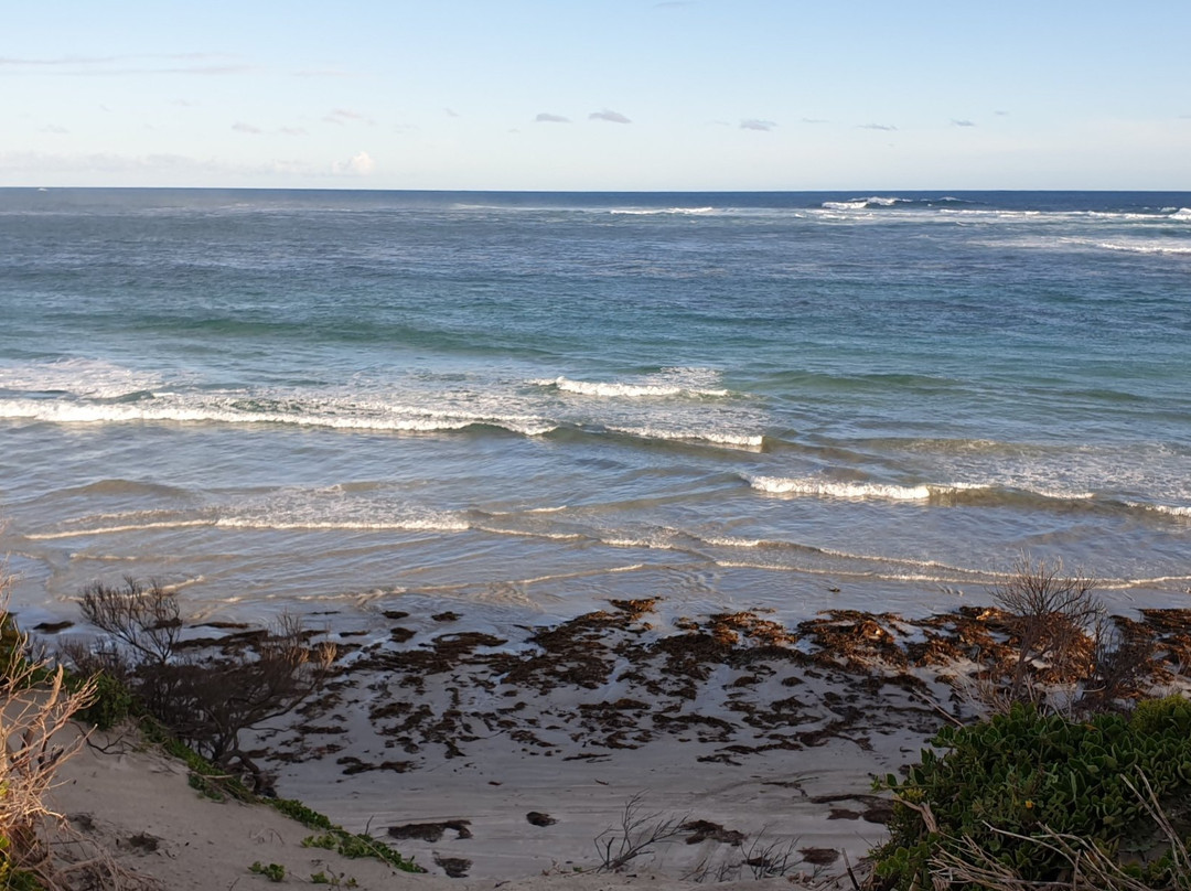 Cape Banks Lighthouse-Carpenter's Rocks必去景点