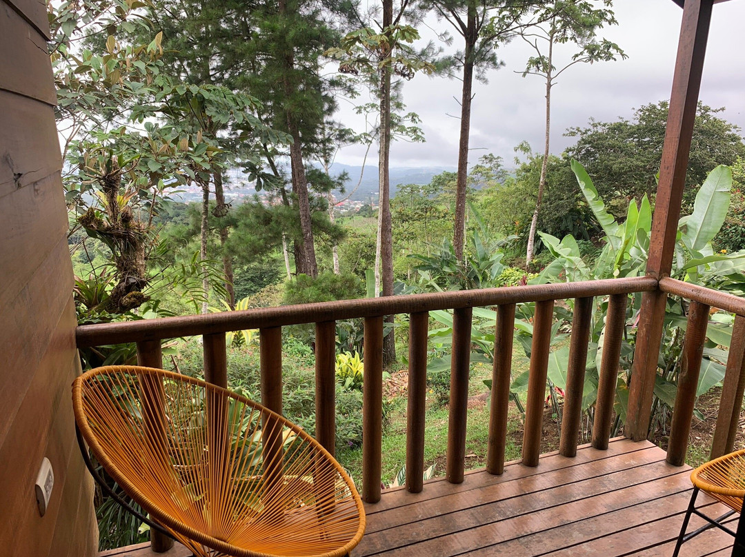 Eco Granja Don Lolo主图