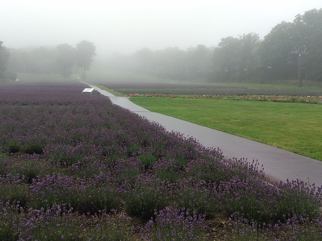 Tambara Lavender Park-沼田市必去景点