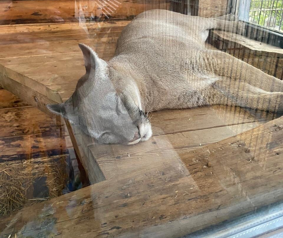 Swimming Pool of the Hotel Yalta Intourist-雅尔达必去景点
