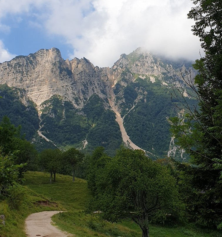 Sentiero dei Grandi Alberi景点图片