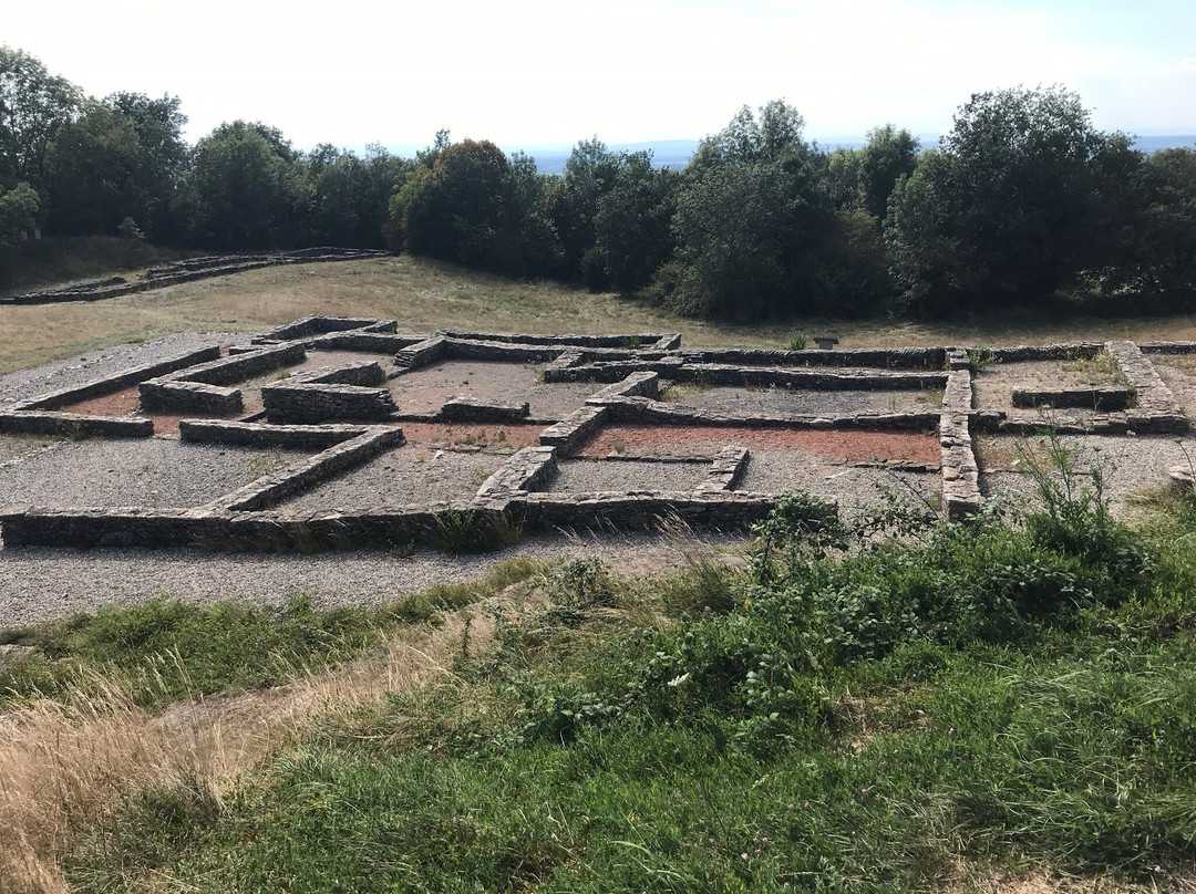 Site Archeologique Larina景点图片