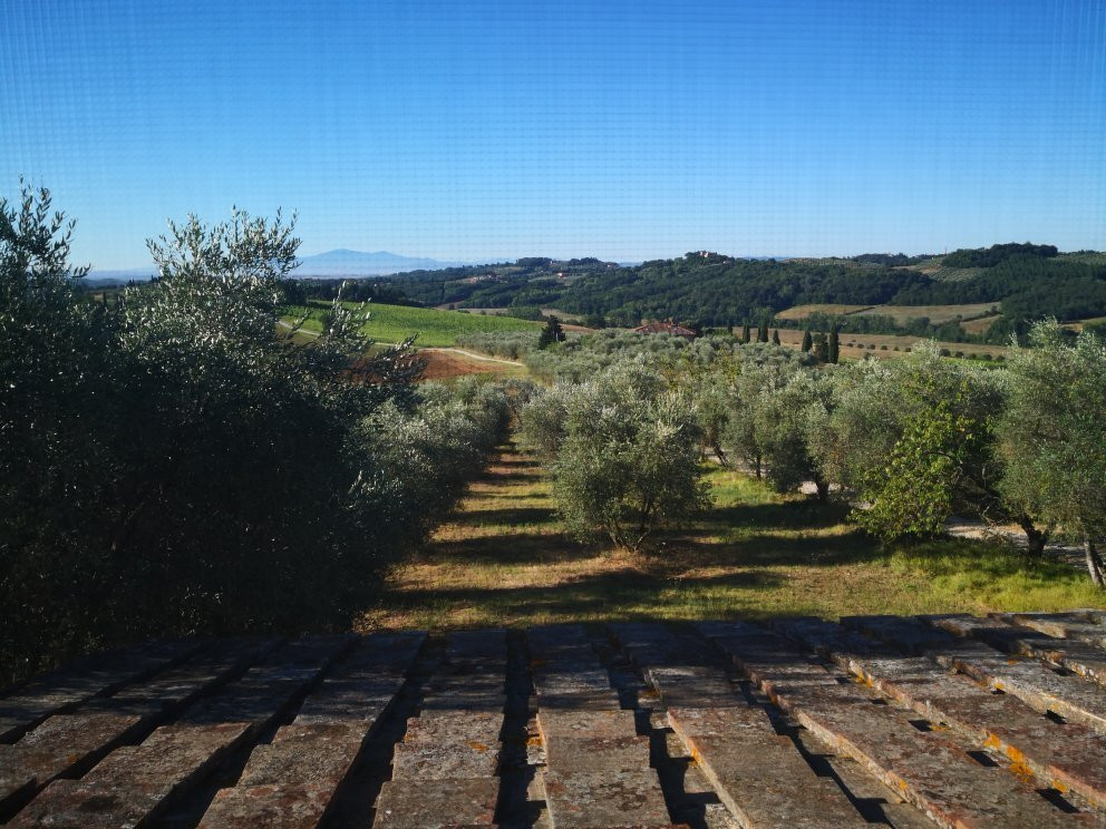 Tenuta di Monaciano主图