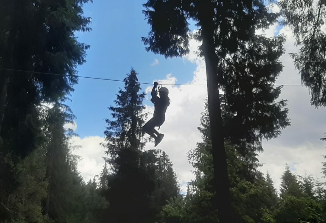 Agility Forest San Martino di Castrozza景点图片