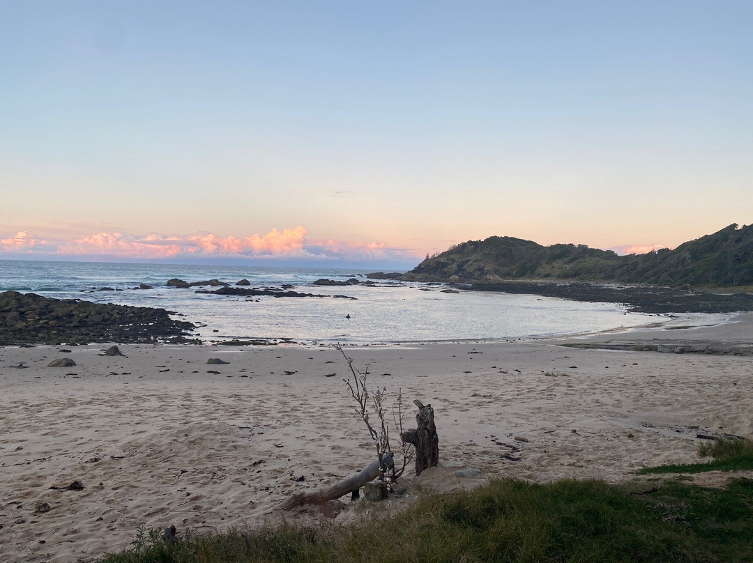 Shelly Beach-麦克夸利港必去景点