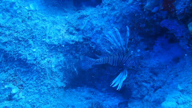 Atlantis Diving Center-Adelianos Kampos必去景点